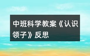 中班科學教案《認識領(lǐng)子》反思