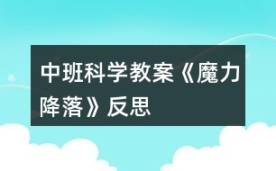 中班科學教案《魔力降落》反思