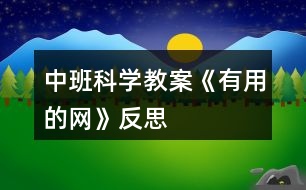 中班科學教案《有用的網(wǎng)》反思