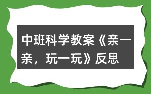 中班科學(xué)教案《親一親，玩一玩》反思