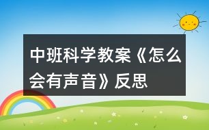 中班科學(xué)教案《怎么會(huì)有聲音》反思