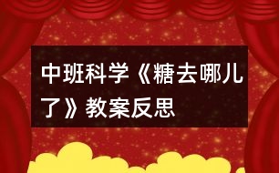 中班科學(xué)《糖去哪兒了》教案反思