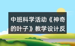 中班科學(xué)活動(dòng)《神奇的葉子》教學(xué)設(shè)計(jì)反思