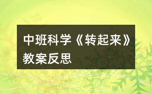 中班科學(xué)《轉(zhuǎn)起來》教案反思