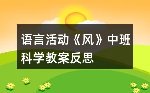 語(yǔ)言活動(dòng)《風(fēng)》中班科學(xué)教案反思