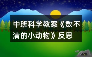 中班科學教案《數(shù)不清的小動物》反思