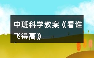 中班科學(xué)教案《看誰飛得高》