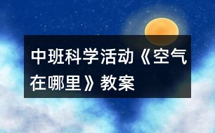 中班科學活動《空氣在哪里》教案