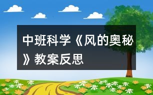 中班科學(xué)《風(fēng)的奧秘》教案反思