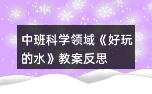 中班科學(xué)領(lǐng)域《好玩的水》教案反思