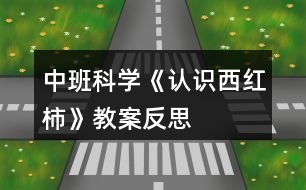 中班科學《認識西紅柿》教案反思