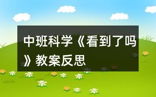 中班科學(xué)《看到了嗎》教案反思