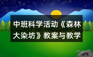 中班科學活動《森林大染坊》教案與教學反思