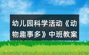 幼兒園科學活動《動物趣事多》中班教案