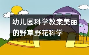 幼兒園科學教案：美麗的野草、野花（科學）