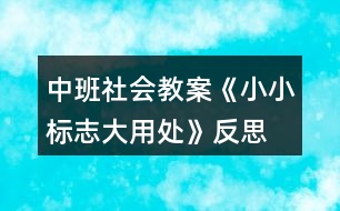 中班社會教案《小小標志大用處》反思