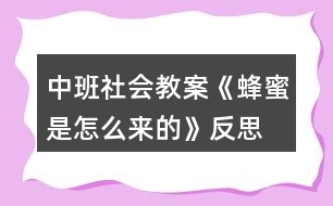 中班社會(huì)教案《蜂蜜是怎么來的》反思