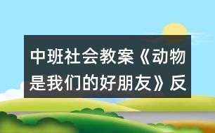 中班社會教案《動物是我們的好朋友》反思