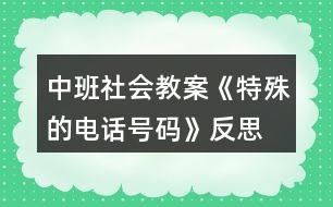 中班社會(huì)教案《特殊的電話號(hào)碼》反思