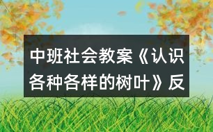 中班社會(huì)教案《認(rèn)識(shí)各種各樣的樹(shù)葉》反思