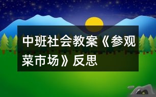 中班社會(huì)教案《參觀菜市場(chǎng)》反思