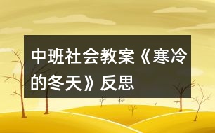 中班社會教案《寒冷的冬天》反思