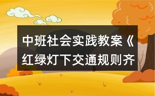 中班社會實(shí)踐教案《紅綠燈下交通規(guī)則齊遵守》反思