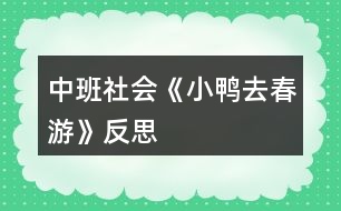 中班社會(huì)《小鴨去春游》反思