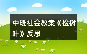 中班社會(huì)教案《撿樹(shù)葉》反思