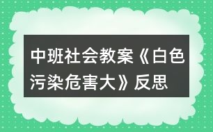 中班社會教案《白色污染危害大》反思