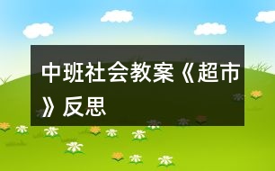 中班社會(huì)教案《超市》反思