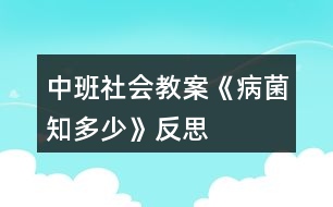 中班社會(huì)教案《病菌知多少》反思