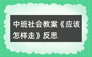 中班社會教案《應(yīng)該怎樣走》反思