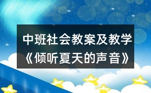 中班社會(huì)教案及教學(xué)《傾聽夏天的聲音》反思