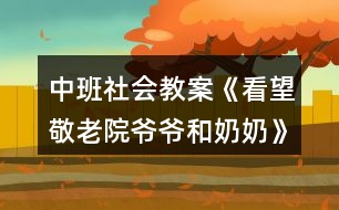 中班社會教案《看望敬老院爺爺和奶奶》反思