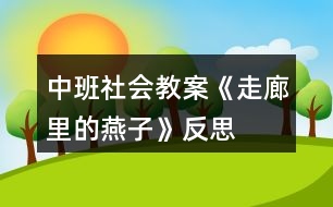 中班社會教案《走廊里的燕子》反思