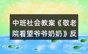 中班社會(huì)教案《敬老院看望爺爺奶奶》反思