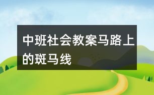 中班社會(huì)教案馬路上的斑馬線