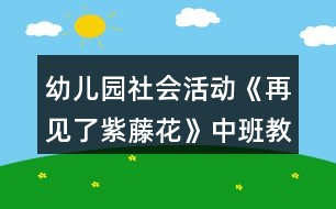 幼兒園社會(huì)活動(dòng)《再見(jiàn)了紫藤花》中班教案反思