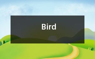 Bird