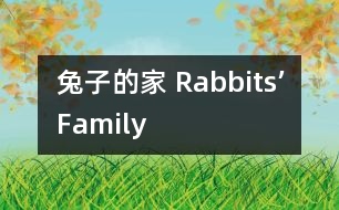 兔子的家 Rabbits’Family