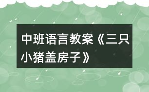 中班語(yǔ)言教案《三只小豬蓋房子》