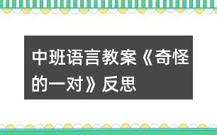 中班語言教案《奇怪的一對》反思