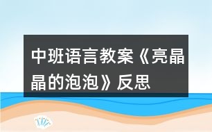 中班語言教案《亮晶晶的泡泡》反思