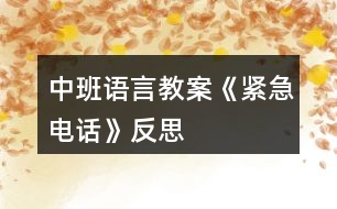 中班語(yǔ)言教案《緊急電話》反思