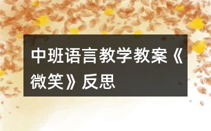 中班語(yǔ)言教學(xué)教案《微笑》反思