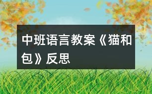 中班語言教案《貓和包》反思