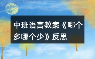 中班語(yǔ)言教案《哪個(gè)多哪個(gè)少》反思