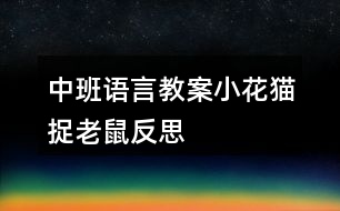 中班語言教案小花貓捉老鼠反思