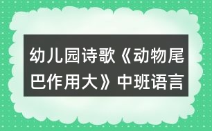 幼兒園詩歌《動物尾巴作用大》中班語言教案